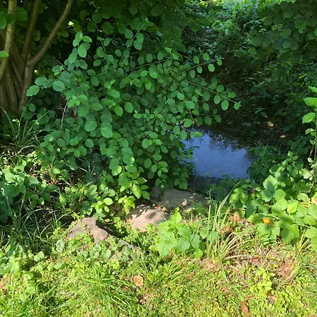 Haus Teichblick Thannhausen Bei Weiz Vakantiehuis *