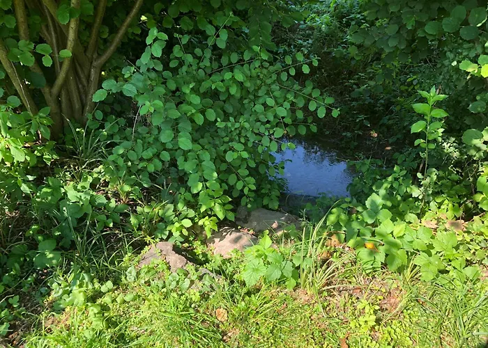 Haus Teichblick Thannhausen Bei Weiz Casa vacanze *